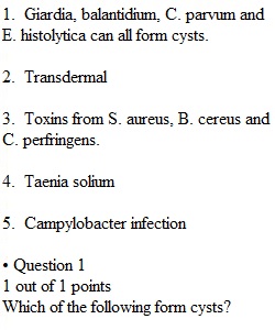 Post Lab - Digestive System